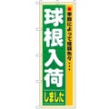 「球根入荷」 のぼり【N】