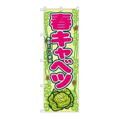 「春キャベツ」 のぼり【N】【受注生産品】