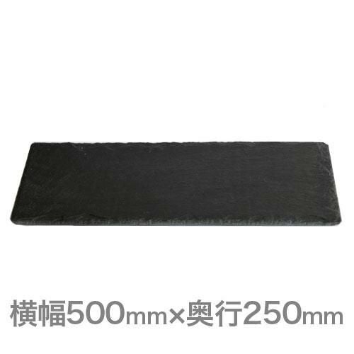 ジャストスレート スレートボード レクタンギュラー 500×250 TR/UB /ビュッフェ大皿