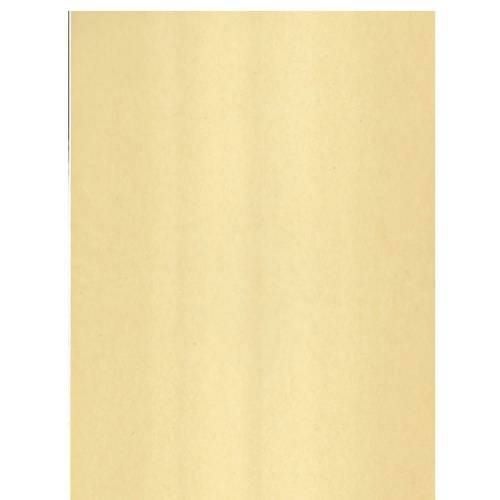 パラフィン紙 無地 (100枚入)/EP-30/小物送料対象商品