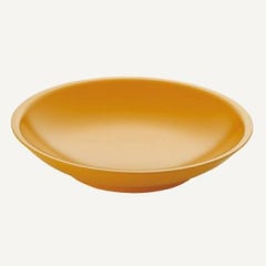 メタル丼サーラBaby 塗装仕様 黄