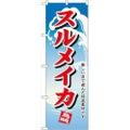 「スルメイカ」 のぼり【N】