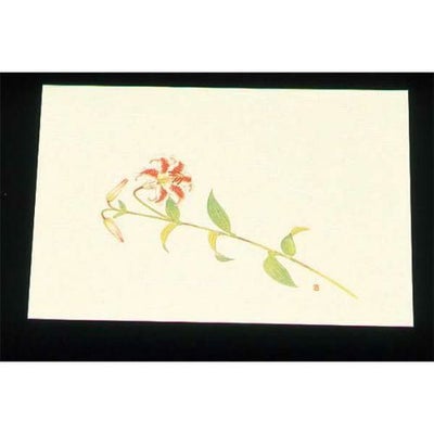 尺三 懐石まっと クリーム(100枚入)WSS-14 笹ゆり