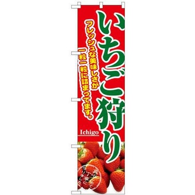 「苺狩り」 のぼり屋工房【N】【受注生産品】