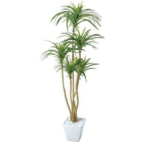 ポピー ユッカポット（L） GLA-1198 全長120cm・幅52cm 鉢：□17cm