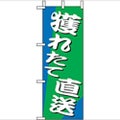 「獲れたて直送」 のぼり屋工房【N】