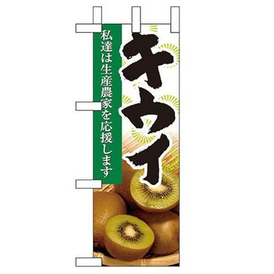 「キウイ」 のぼり屋工房【N】【受注生産品】