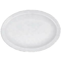 白 9吋リムプラター