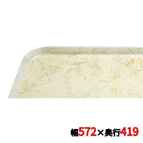 トレー キャンブロ カムトレイ 16225(526)G/A/P/G CAMTRAYS