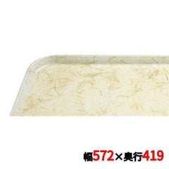 キャンブロ カムトレイ 16225（526）G/A/P/G CAMTRAYS