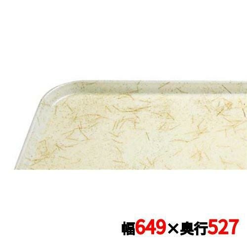 トレー キャンブロ カムトレイ 2025(526)G/A/P/G CAMTRAYS