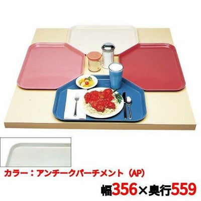 キャンブロ トラペゾイドカムトレイ 1422TR（101）A/P CAMTRAYS