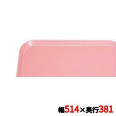 キャンブロ カムトレイ 1520（409）ブラッシュ CAMTRAYS