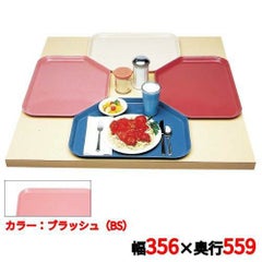 キャンブロ トラペゾイドカムトレイ 1422TR（409）ブラッシュ CAMTRAYS