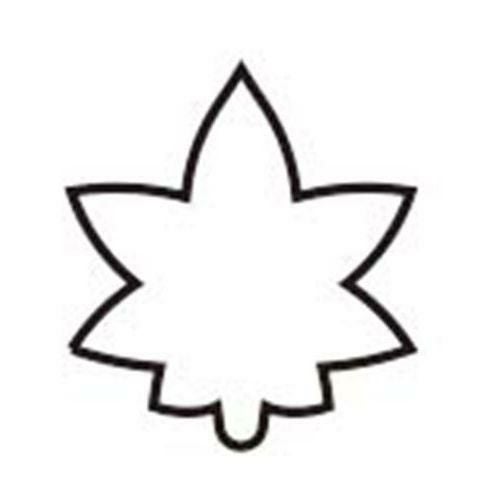 18－8 極小抜き型 紅葉