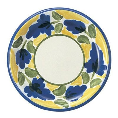 カンパーニャ 28cmピザスパゲティ皿